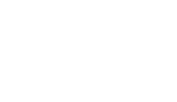 america.appeal.logo copy.png